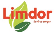 Limdor logo 1