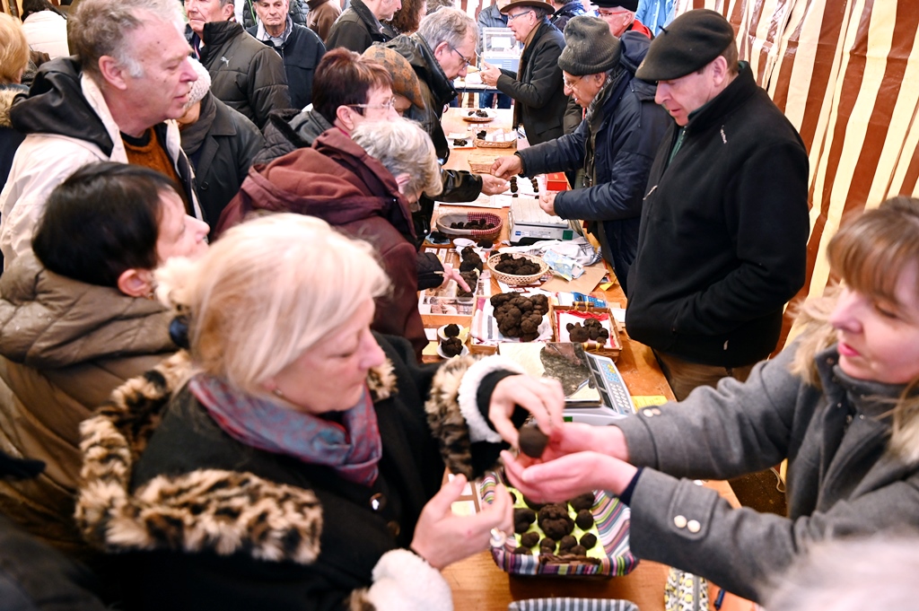 Marche aux truffes